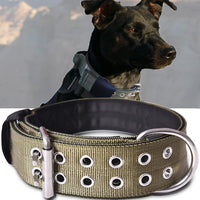 Dog Collar for Large Dogs, with Handle 2" Wide Heavy Duty - Green / M