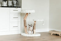 Mau Lifestyle Luxury Cat Tree: Modern Cat Condo & Luxury Wood Cat Tower; Natural Branch Scratching Tree & Cat Condo; Cat Gifts by Mau