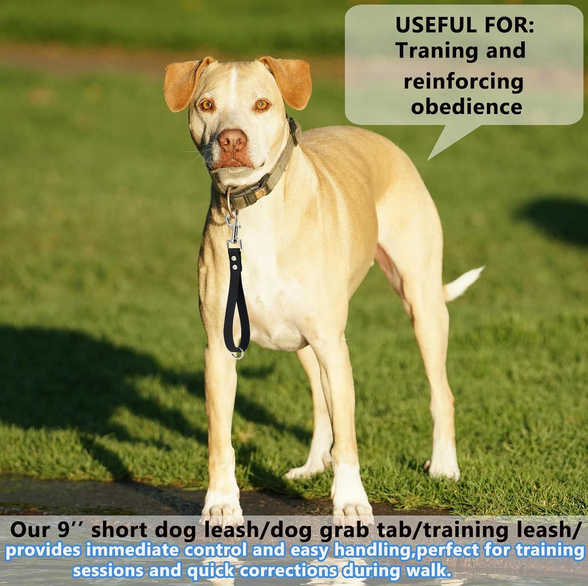 Short Dog Leash - 9 Inch Dogs Lead Grab Tab Heavy Duty Waterproof PVC Dog Training Traffic Leashes - 9'' / Green - image 3