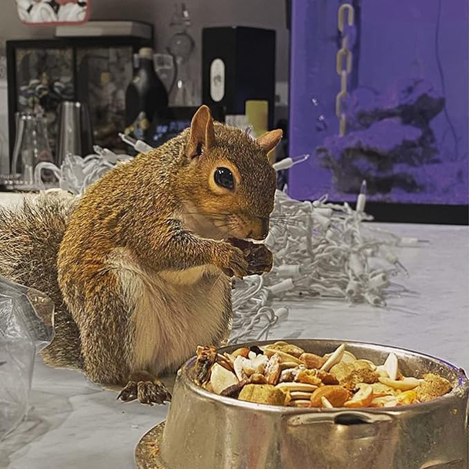 Squirrel Complete (15 lb.) - Healthy Natural Food - Nutritionally Complete Diet for Pet & Captive Squirrels - Ground, Grey, and Flying Squirrels, & Chipmunks