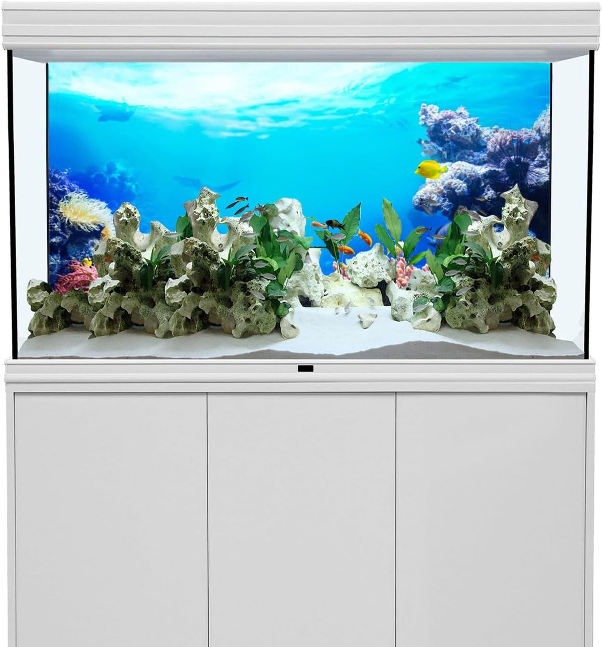 48x24 in Underwater Aquarium Backdrop Colorful Coral Fish Tank - 48x18in/120x45cm - image 2