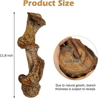 Reptile Climbing Decor 1.8-2.2" Thick Wood Branches Snake Habitat - 11.8 inches (1 Pack) - image 3