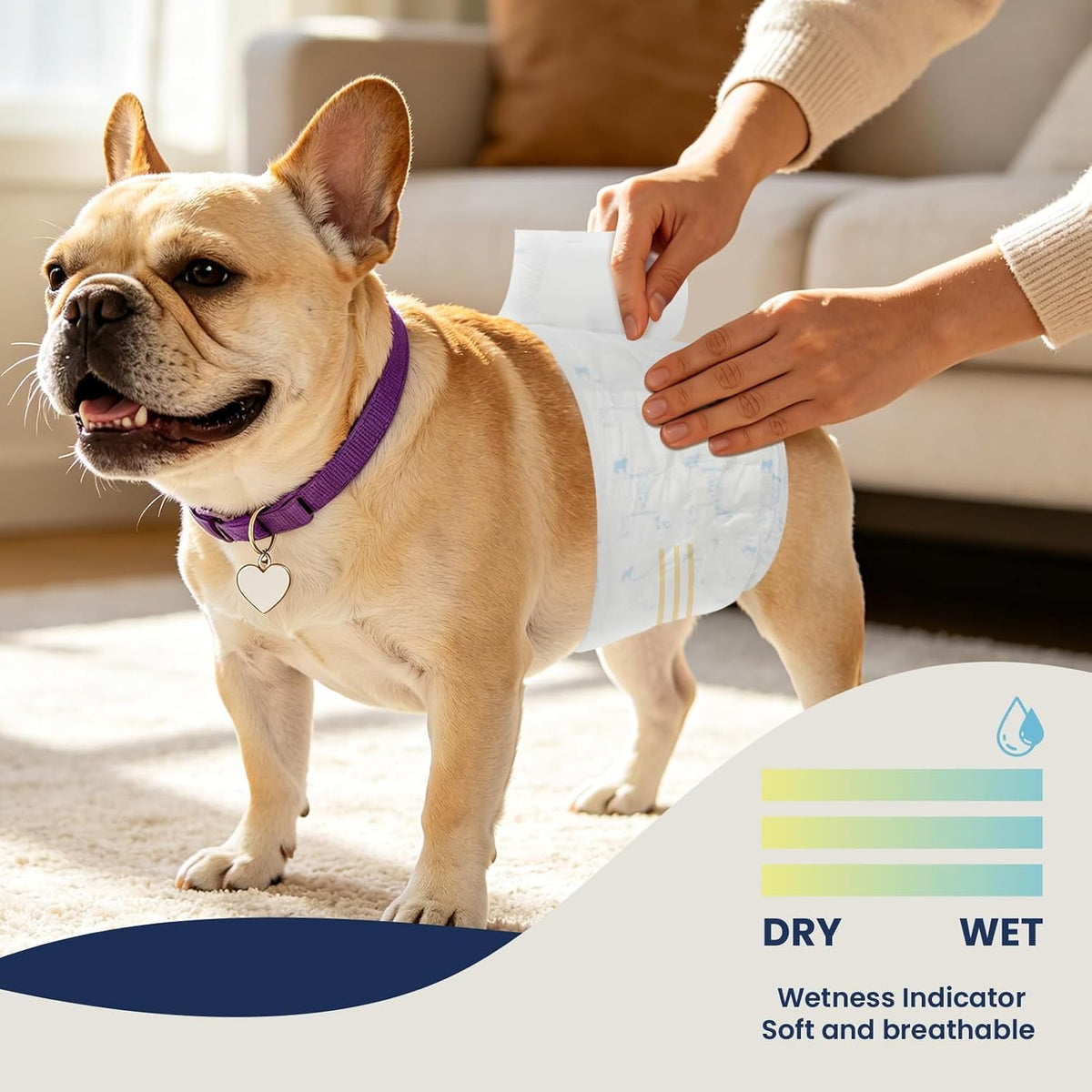 Dog Diapers Male, X-Small 50 Ct - Large: 50Ct - image 3