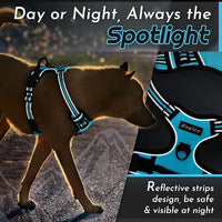 Eagloo Dog Harness for Large Dogs, No Pull Service Vest with Reflective Strips and Control Handle, Adjustable and Comfortable for Easy Walking, No Choke Pet Harness with 2 Metal Rings, Sky Blue, L