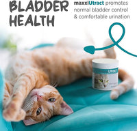 maxxipaws maxxiUtract Urinary & Bladder Support - Powder Supplement for Cats, 2.1oz
