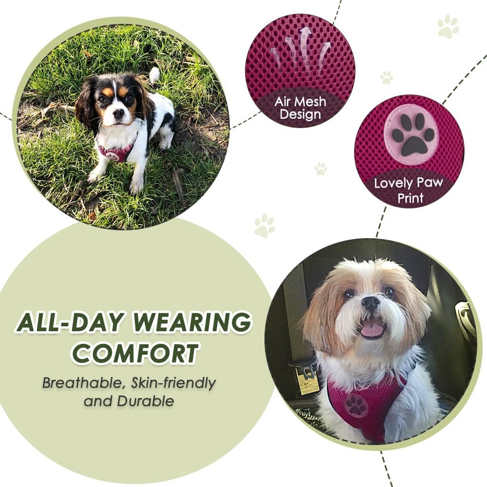 Lukovee Dog Car Harness Seat Belt Set - X-Small / Rose - image 2