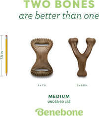 Benebone Medium 4-Pack Dog Toys for Aggressive Chewers - Medium (Pack of 8) / Wishbone/Dental - image 4