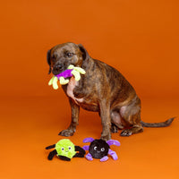 Fringe Studio, Creepy CRAWLY Spiders - Webbed In Mischief - image 3