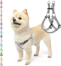 PUPTECK No Pull Dog Harness Soft Adjustable Basic Nylon Step in Puppy Vest Outdoor Walking with ID Tag, Grey, S