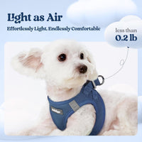 rabbitgoo Dog Harness Small Sized and Leash Set - Navy Blue / Xxs (chest: 12.4 - 14.2") - image 3