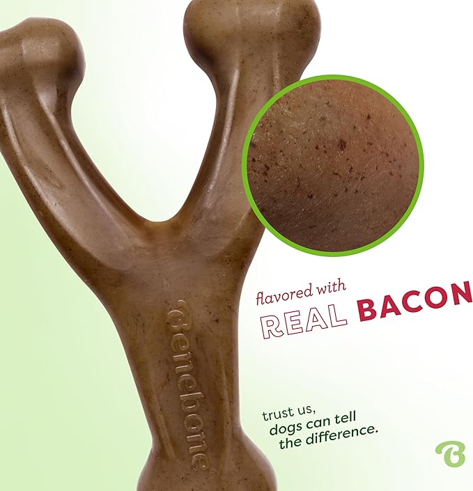 Benebone Wishbone Durable Dog Chew Toy for Aggressive Chewers, Made in USA, Small, Real Bacon Flavor