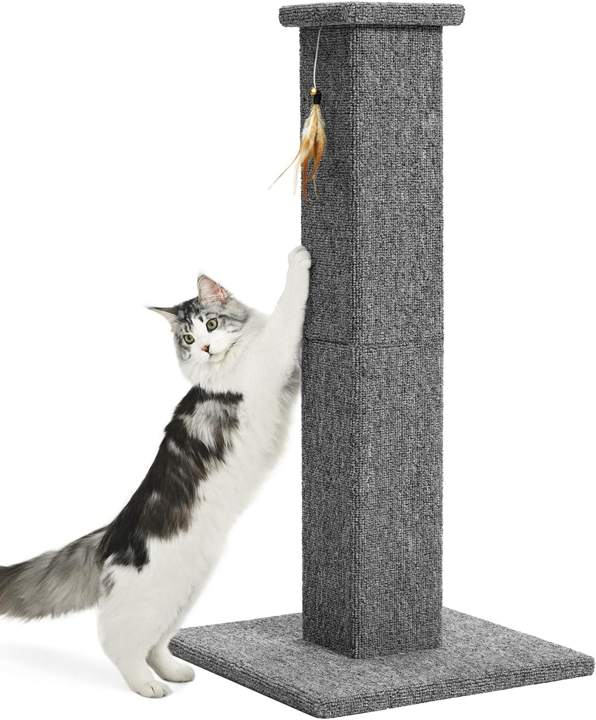 Made4Pets 32 inch carpet cat scratching post with feather toy