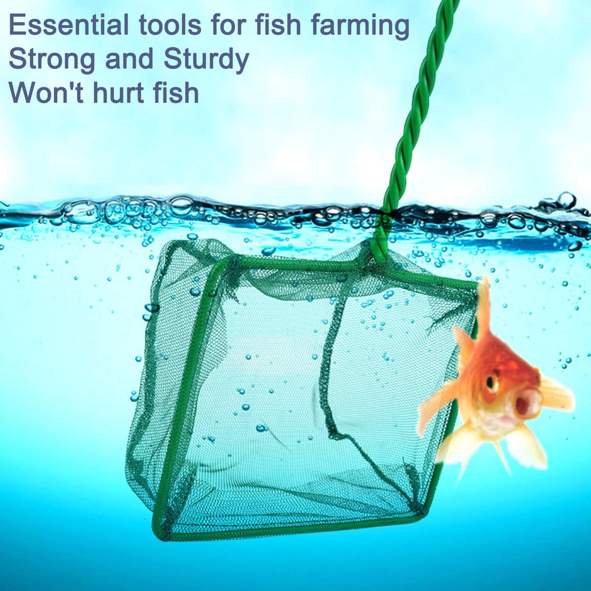Aquarium Fish Nets, DSSPORT 4 Inch Small Mesh Fish Catch Nets with Plastic Handle Green – Essentials for Fish - 1 - image 2