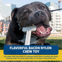 Bullibone Nylon Dog Chew Toy for Aggressive Chewers - Bacon / XL - Single - image 3