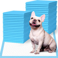 100 Count Large Dog & Cat Puppy Pee Pads - 22" x 23" (50 Count)