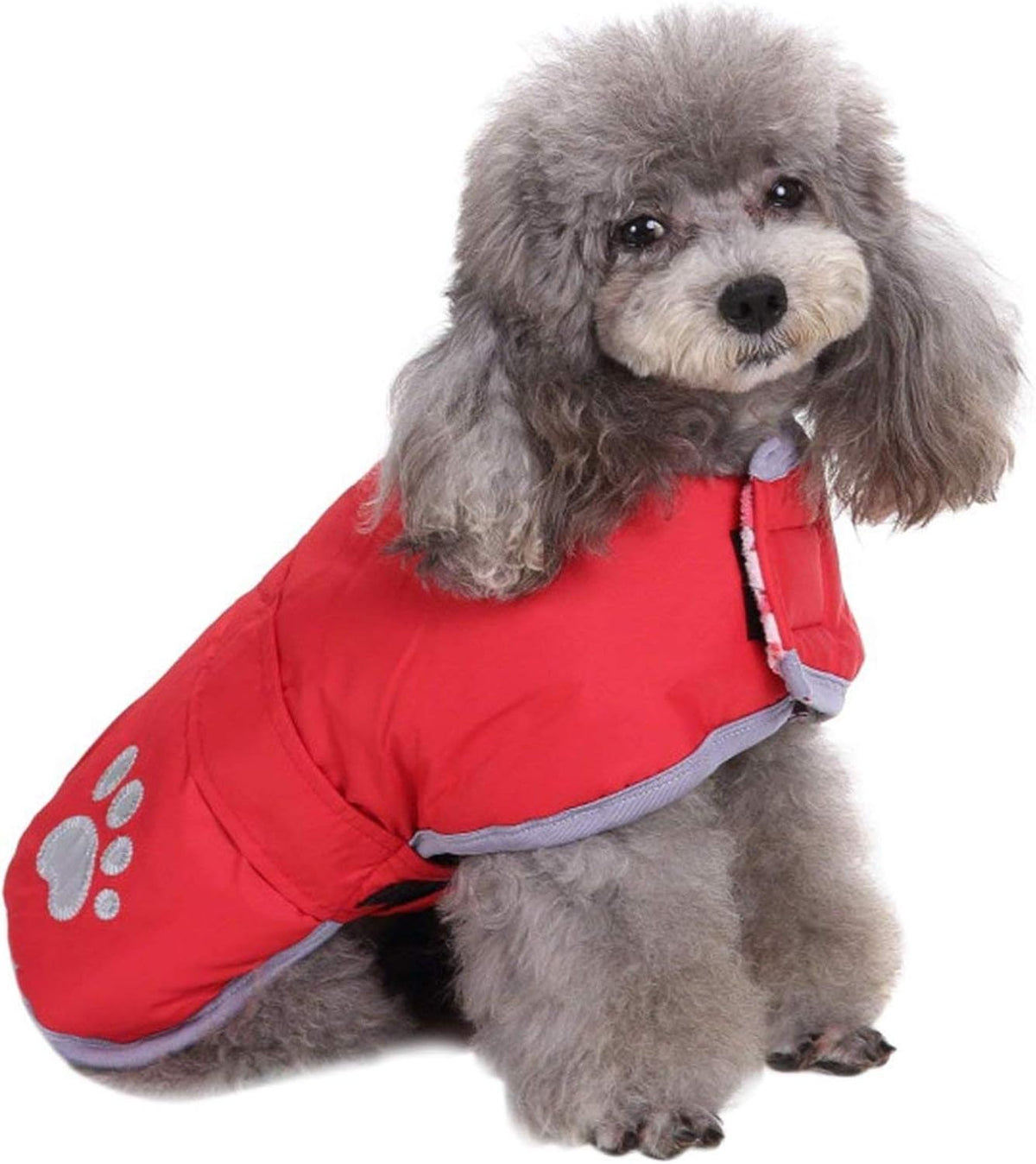 Queenmore Cold Weather Dog Coats Loft Reversible Winter Fleece Dog - X-Large / Red