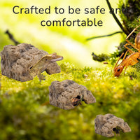 Reptile Hide for Leopard Gecko, Bearded Dragon - Small - image 3