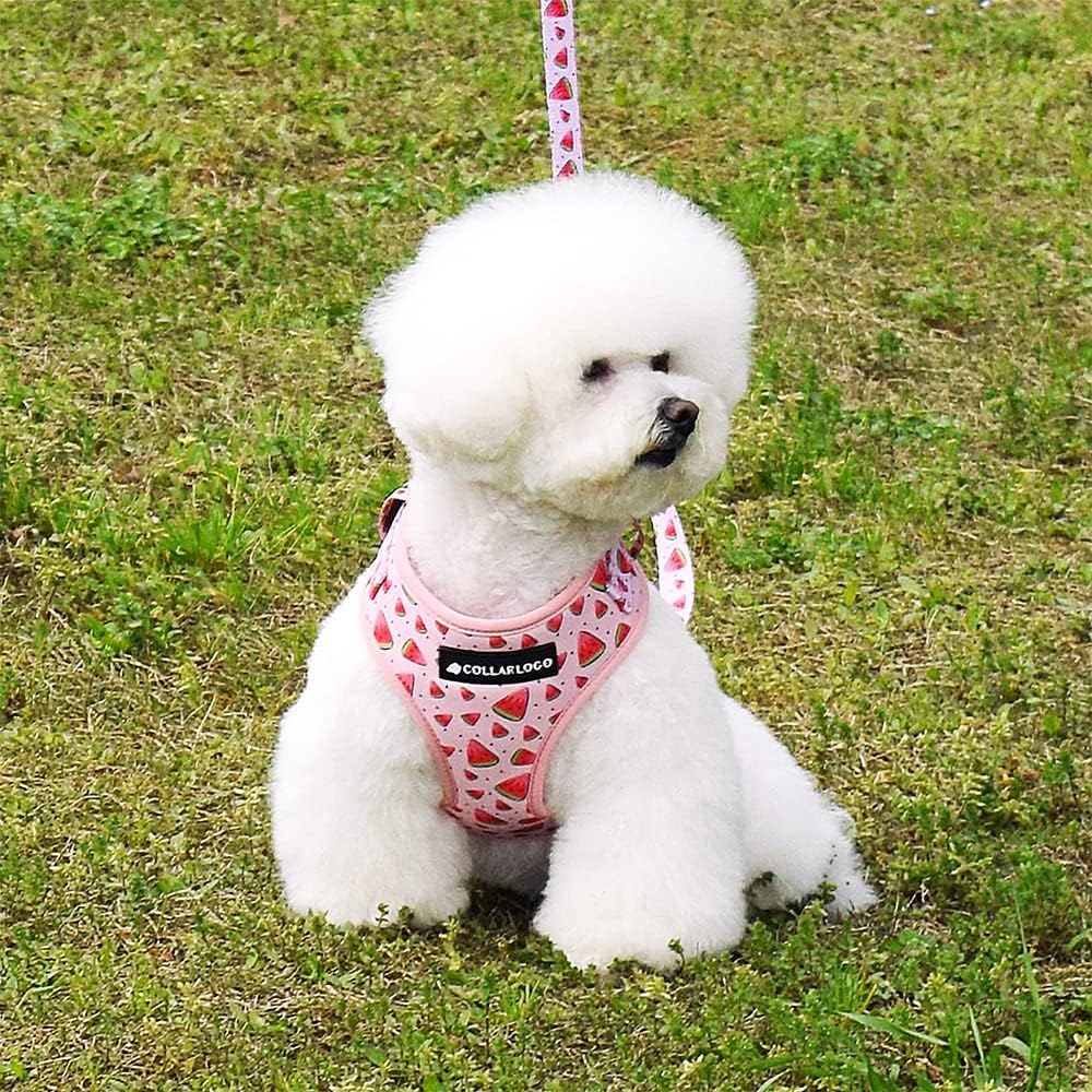 Dog Harness and Leash Set, Adjustable Dog Harness, Dog Leash - Watermelon / S(Chest 13 - 19", Neck 9.5 - 13.1") - image 2