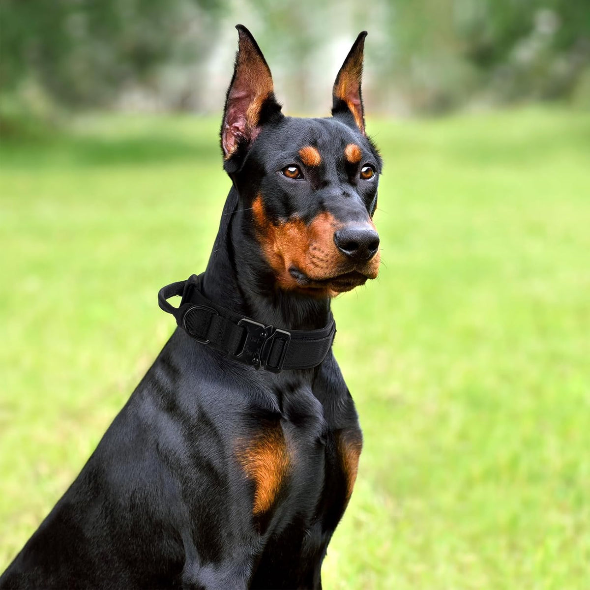 Tactical Dog Collar, Adjustable Military Training Nylon Pet Collar, Black L – Essentials for Dogs - Black Set / Large :Width 1.5",Neck 17-20.5" - image 3