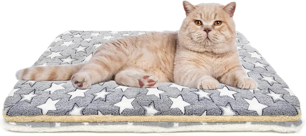 2 Pack Cat Blanket for Indoor Cats - Stars / 31X22 in
