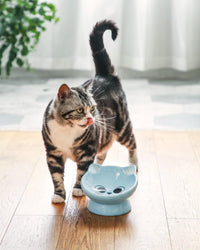 Raised Cat Food Bowl Ceramic 15° Tilted Cat Food Bowls Protect Cat's - FaceBlue-1P / 1 - image 4