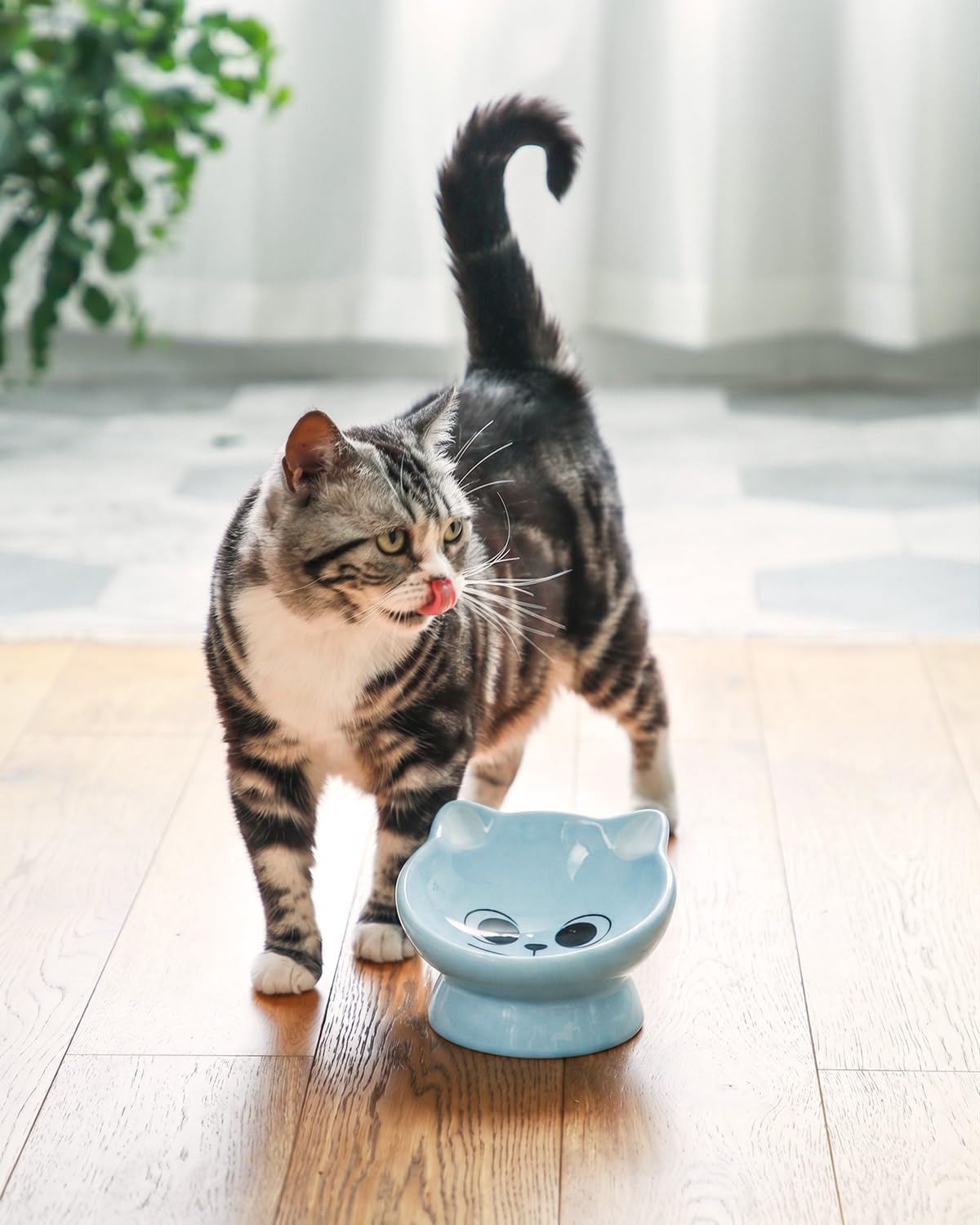Raised Cat Food Bowl Ceramic 15° Tilted Cat Food Bowls Protect Cat's - FaceBlue-1P / 1 - image 4