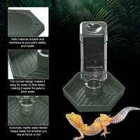 Reptile Water Dispenser Bowl for Bearded Dragon Tortoise – Essentials for Reptiles And Amphibians - Grey Green / S - image 3