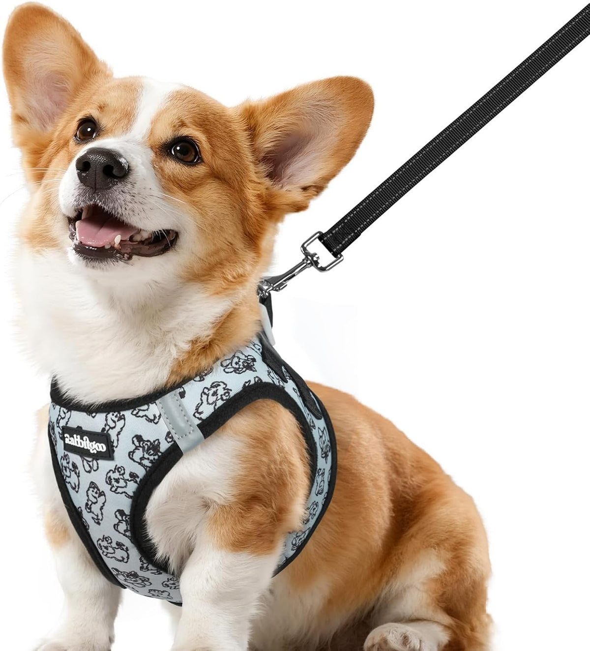 rabbitgoo Dog Harness Small Sized and Leash Set - Grey Pups / L (Chest: 18.2"-20.5")