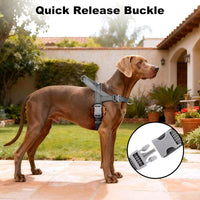 No Pull Dog Harness with Handle - Grey / XS - image 3