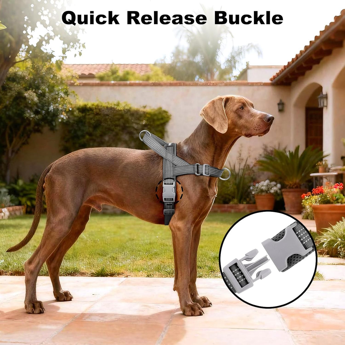 No Pull Dog Harness with Handle - Grey / XS - image 3