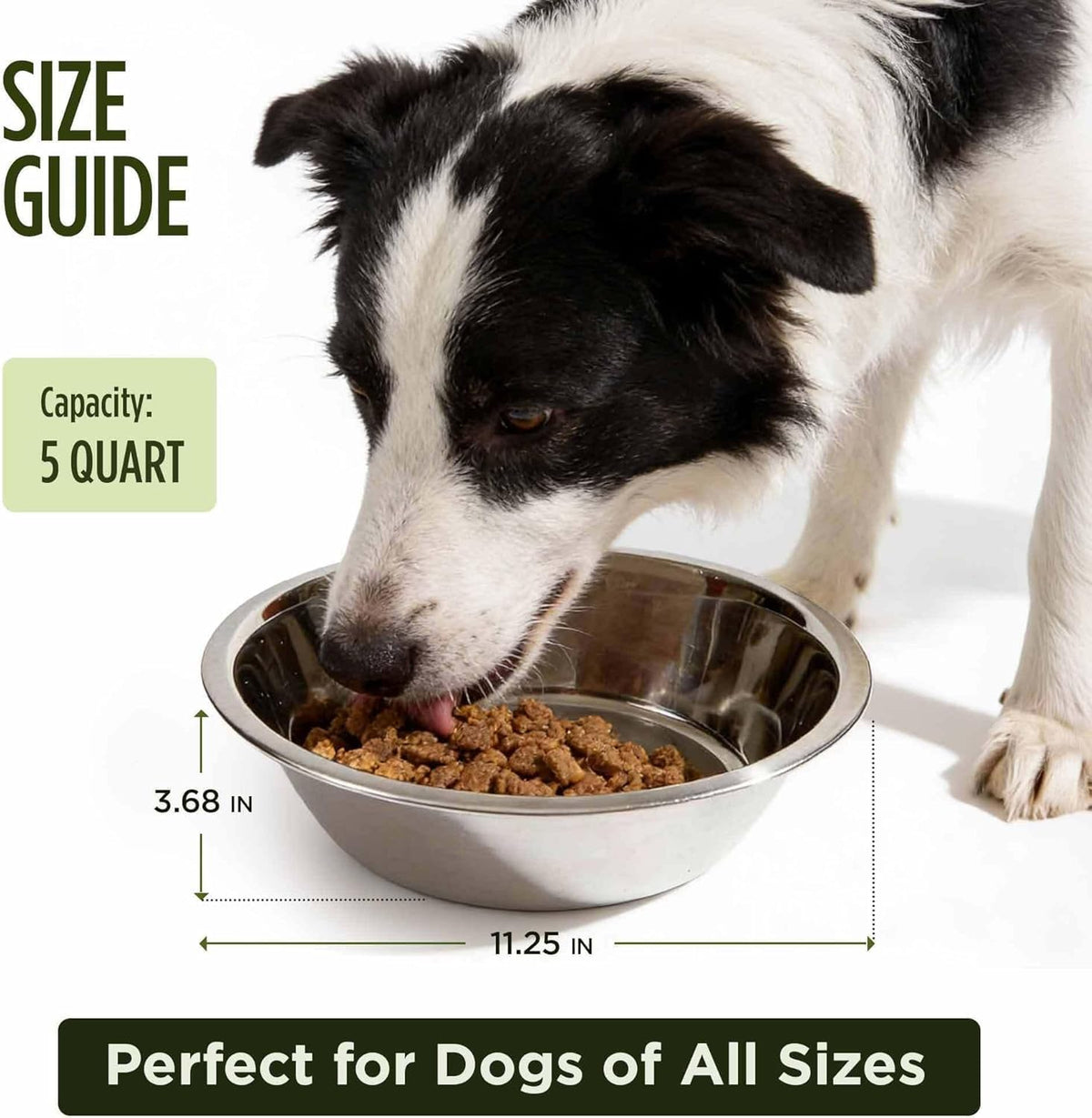 Scott Pet Bowl, Stainless Steel Pet Water and Food Bowl - 5 Quart (Pack of 2) - image 2