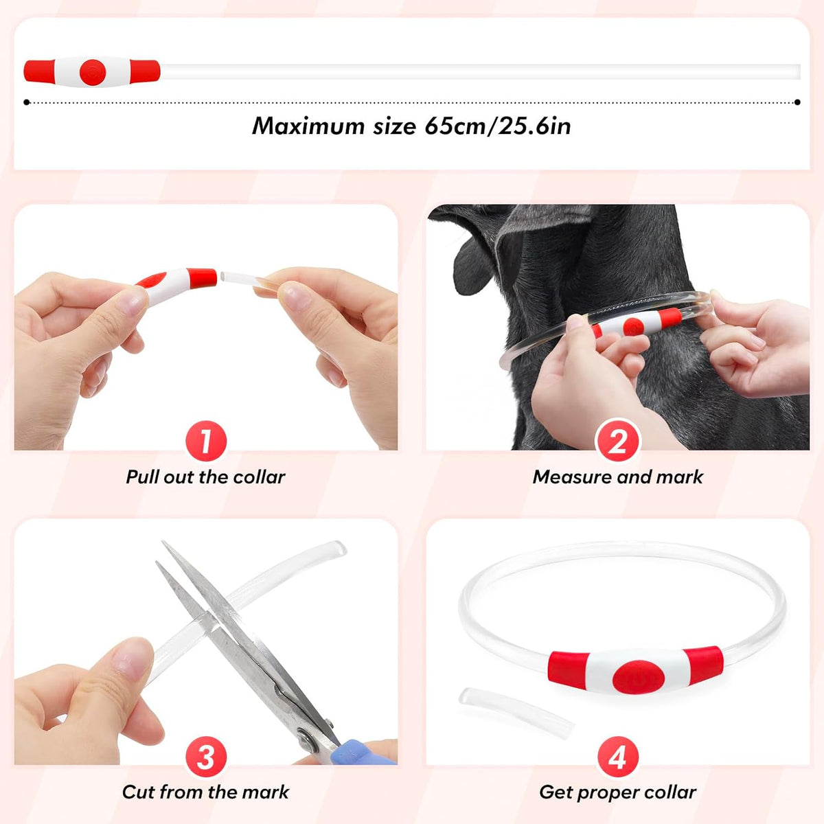 Light Up Dog Collar – Essentials for Dogs - Red (70cm) - image 4