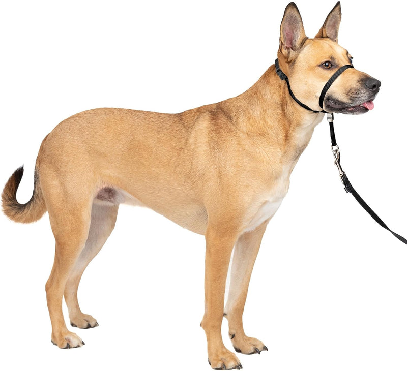PetSafe Gentle Leader No Pull Dog Headcollar - Medium / Black