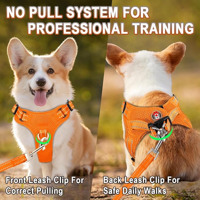 Dog Harness Step in Dog Vest Harness, Reflective Adjustable Puppy No Pull Harness Breathable Soft for Small and Medium Dogs Cats, Orange, S