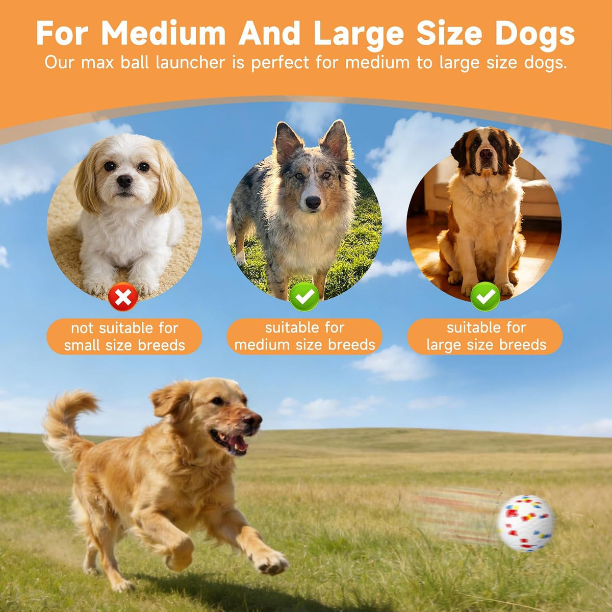 Automatic Dog Ball Launcher, 6 ETPU Balls - Grey-XL - image 4