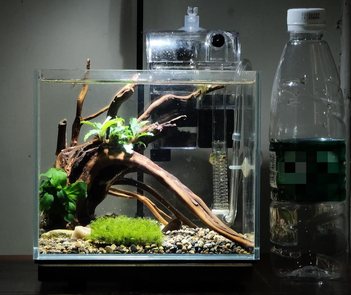 AWXZOM Small Nano Tall Rimless Tank, Glass Fish Tank, Betta Tank – Essentials for Fish - 1.1Gallon 7.8x5.5x5.9inch/20x14x15cm - image 4