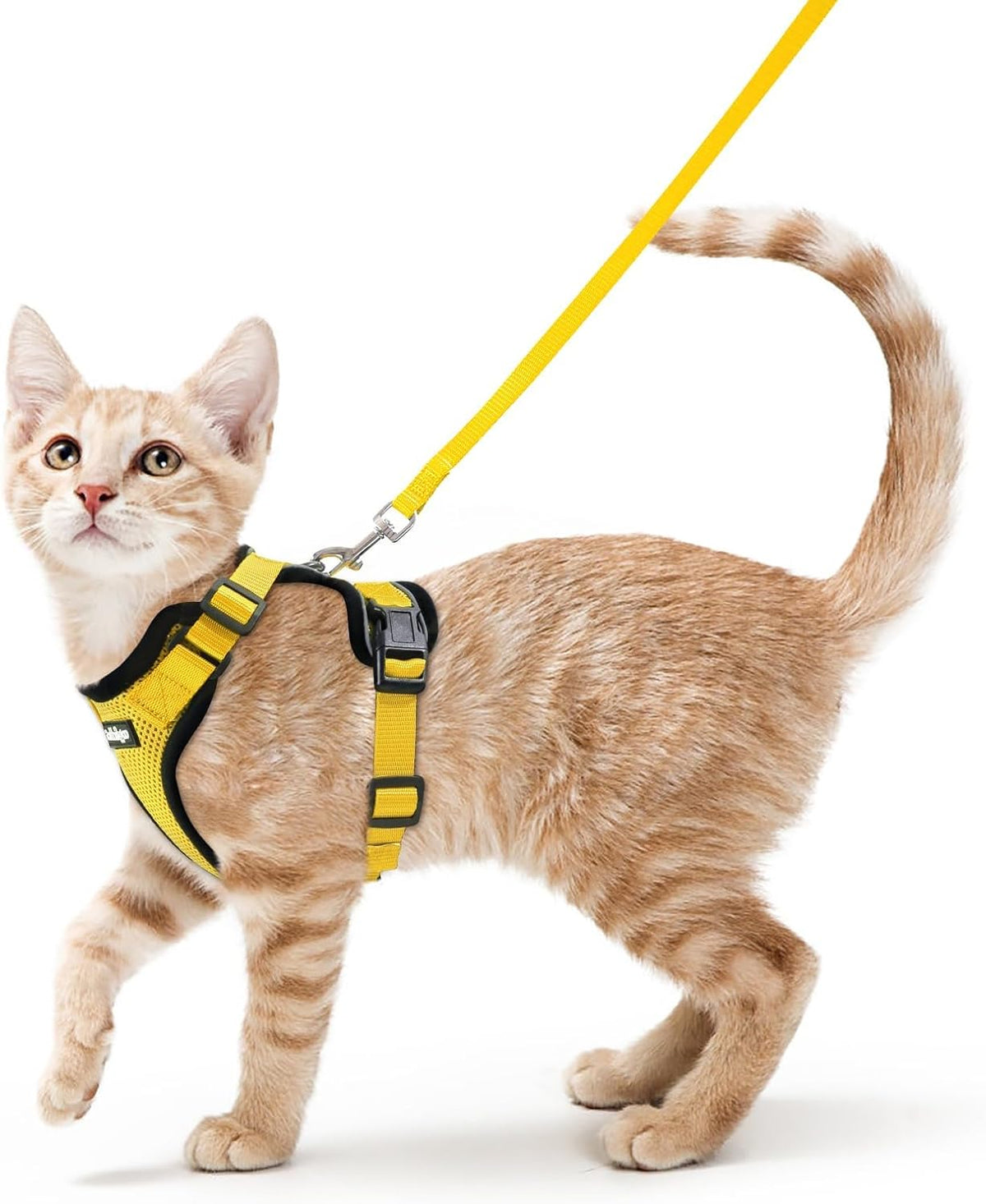 rabbitgoo Cat Harness and Leash Set, Escape Proof Vest - Xs / Yellow