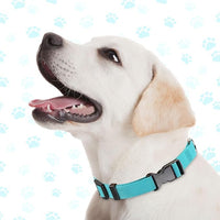 9 Pieces Adjustable Dog Collar for Animal, Soft Nylon Pets Puppy Collar with Quick Release Buckle Holder Bulk for Dogs Walking Running Training(Medium,Bright Colors)
