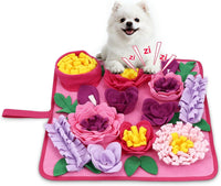 AMIR Snuffle Mat for Dogs