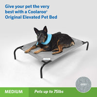 Coolaroo Original Elevated Dog Bed - Medium Dog Bed / Grey (Pack of 1) - image 2