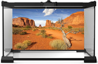 Reptile Tank Backdrop Sunset Desert Terrarium Background Saguaro - 24(W)x12(H)inches/ 60(W)*30cm(H) / Gobi Yellow - image 2