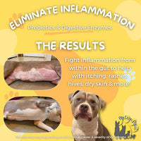 Dog & Cat Probiotics, Prebiotics, & Digestive Enzymes – Flavorless Powder for Gut Health, Allergies, Itchy Skin, Gas & Diarrhea – Organic, Vet-Approved – 65g Bottle (Up to 65 Servings)
