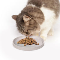 Arespark Pet Silicone Food Mat - Off white / 4 PACK - image 4
