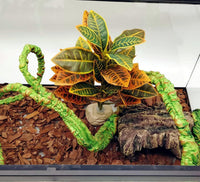 Reptile Plants Terrarium Decor, Reptile Tank Decorations - Gradient - image 4