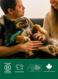 Earth Rated Dog Wipes for Paws & Butt, Deodorizing - Lavender / 200 Grooming Wipes - image 3