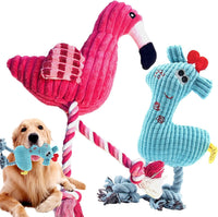 5 Pack Plush Dog Toys with Rope, Squeaky Dog Toys - 2 Pack Dog Toys