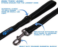 Max and Neo Reflective Nylon Dog Leash - 6 FT x 1" Wide / RED - image 3