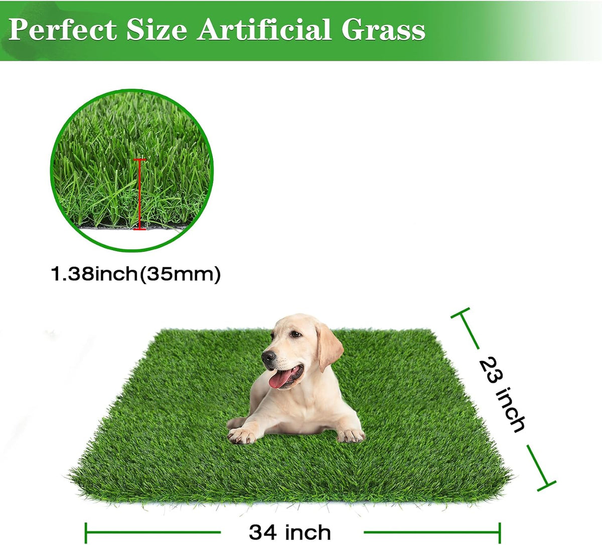 GLOBREEN 34" x 23" Fake Grass Pee Pad for Dogs Potty Training Turf - Green-01 / 23x34 Inch - image 4