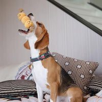 Curry Fishball Soft Plush Squeaky Dog Pull Toy - Durable, Iconic, Cute & Fun Rope Toy for Interactive Bonding Time, Sliding Mechanism, Hide Food for Puzzle Play, Small Medium Dogs