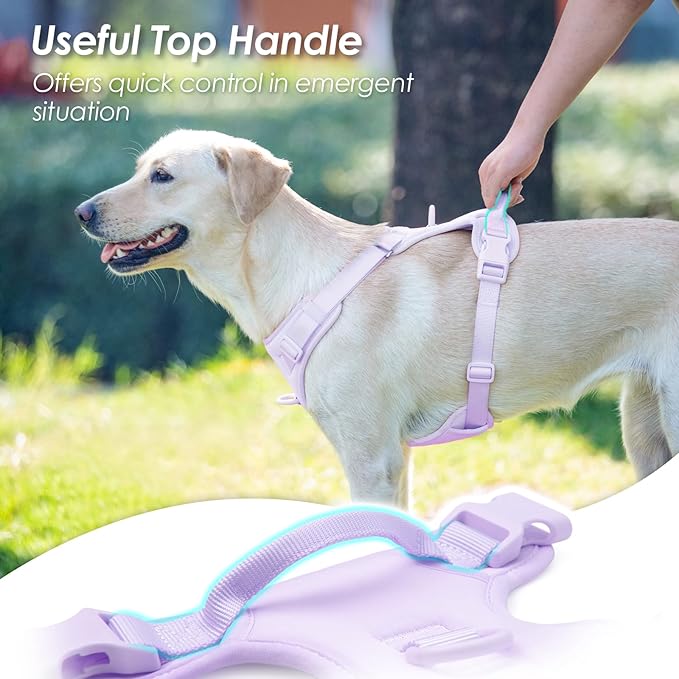 No Pull Dog Harness, Puppy Vest with Front Clip for Small Medium Large Sized Dog(Light Purple,M)